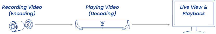 Encoding > Decoding > Live View > Recording > Playback
